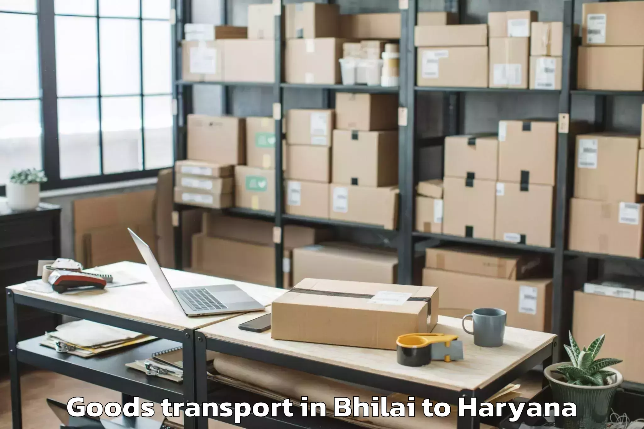 Easy Bhilai to Dt Mega Mall Goods Transport Booking